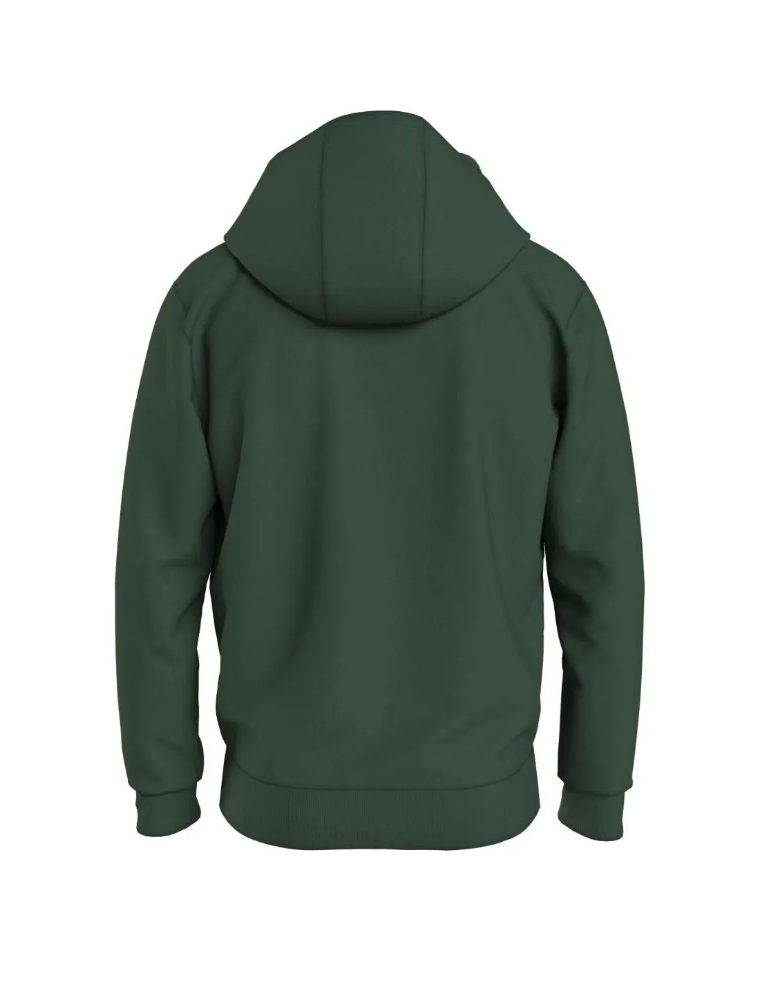 Sweat a capuche Homme Tommy Jeans Ref 60299 Vert